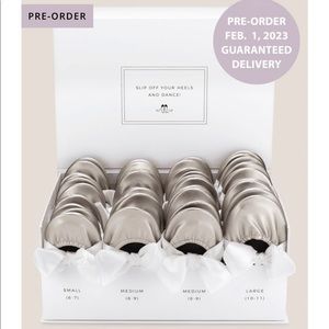 20 Silver Shoes - “Rescue Flats” - Original unopened box